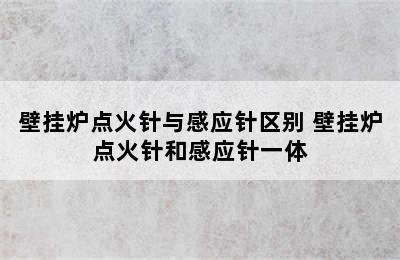 壁挂炉点火针与感应针区别 壁挂炉点火针和感应针一体